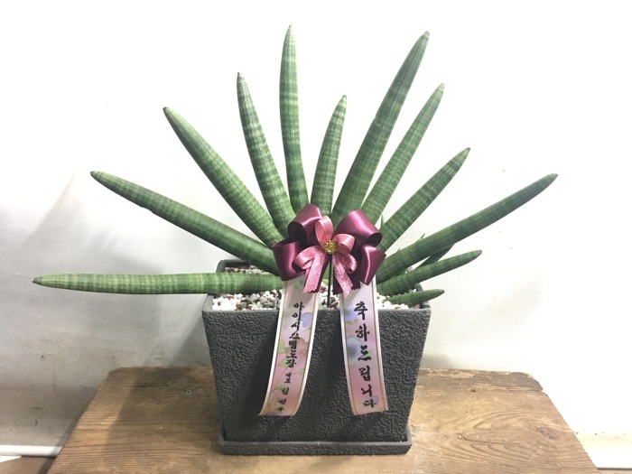 �繫�� ���� ��ۻ���