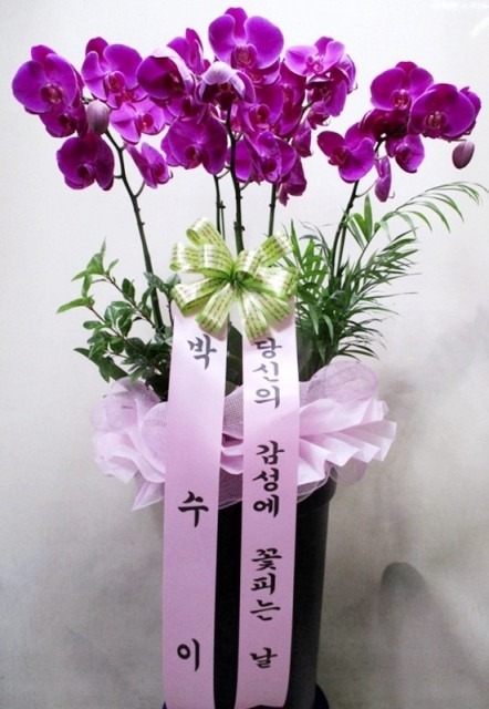 ���糭 ��ۻ���