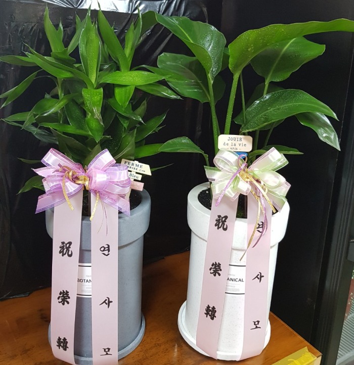 �����Ĺ� 2�ǹ��