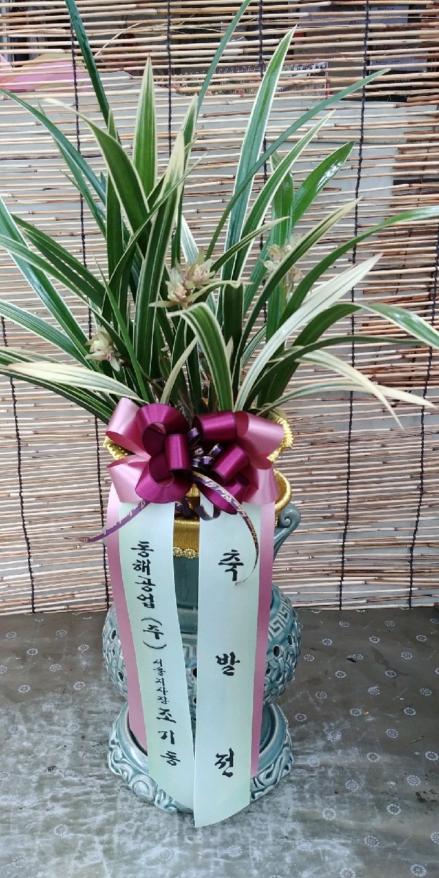 ���޵��糭 ���