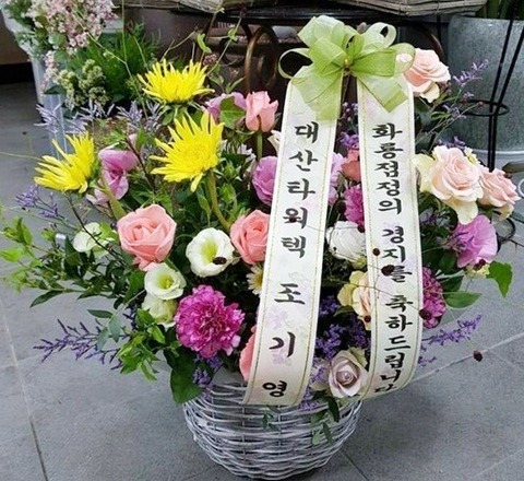 ����ȸ �ɹٱ��Ϲ��