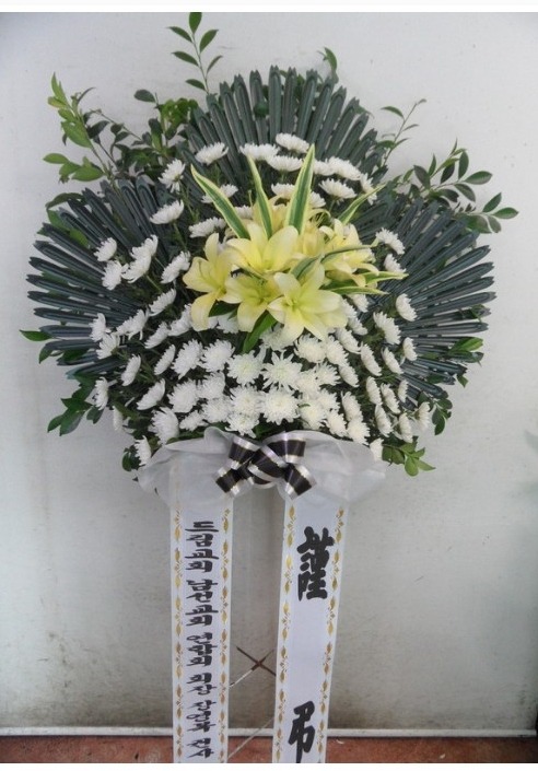 ������ ����ȭȯ ���