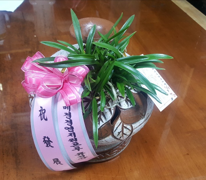 ���ڱ�ǳ��