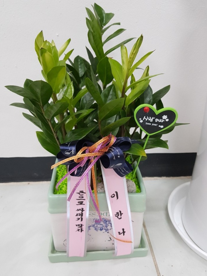 Ź��� �����Ĺ� 