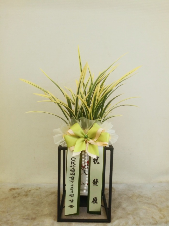 ���� ���糭