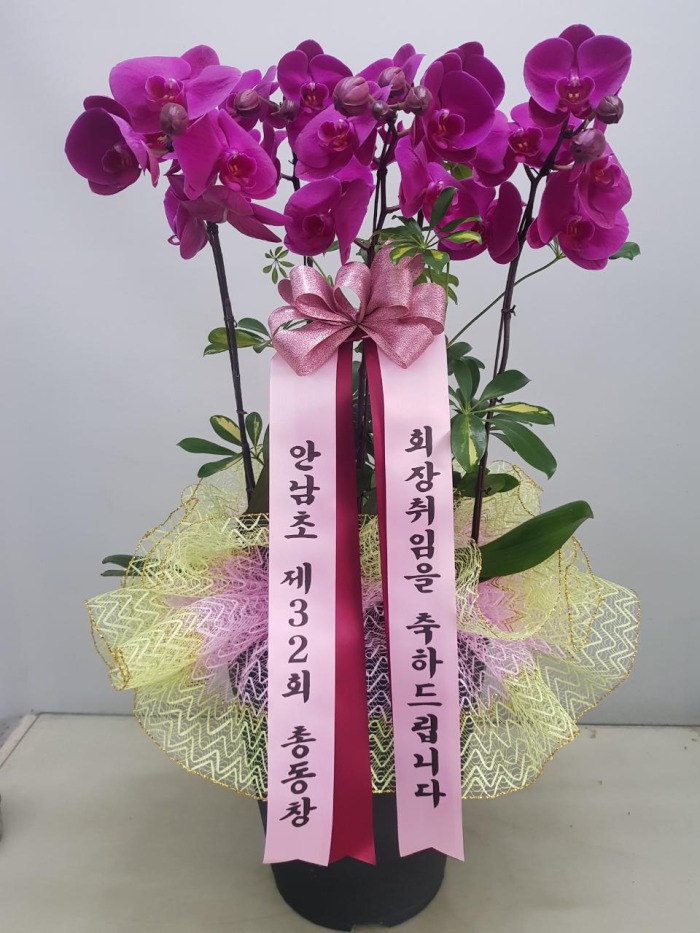 ���糭 (ȣ��)