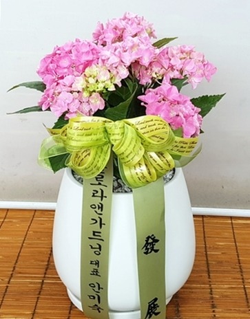 ���� (�̴�)