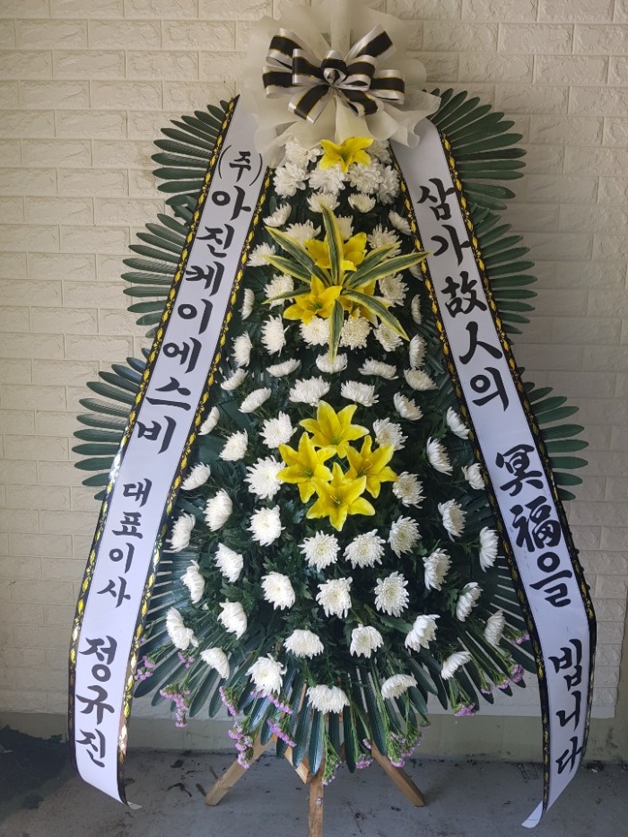 ��������õ��ʽ���