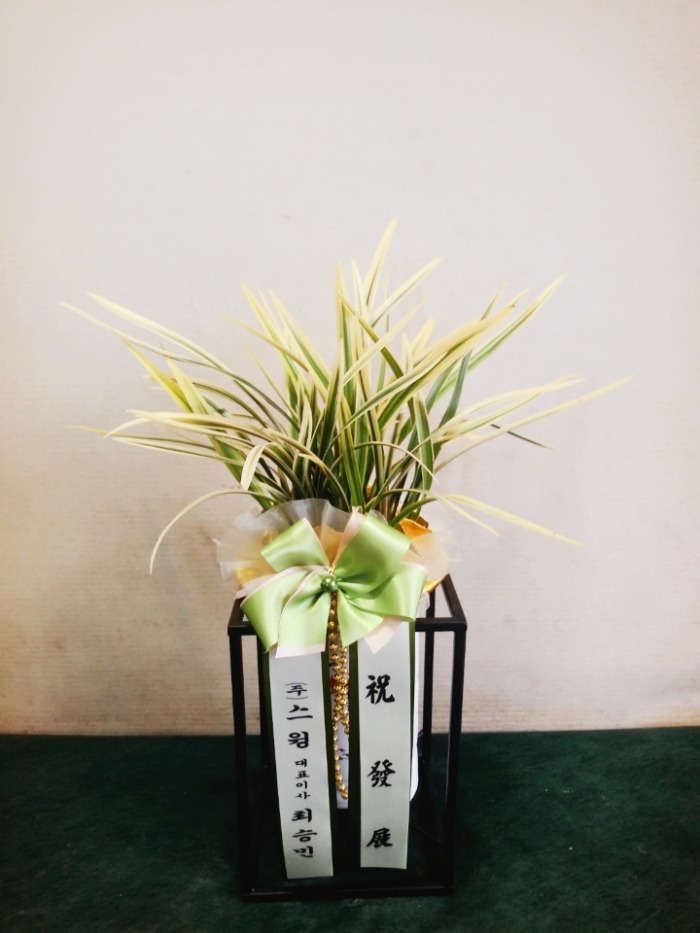 ���� ���糭