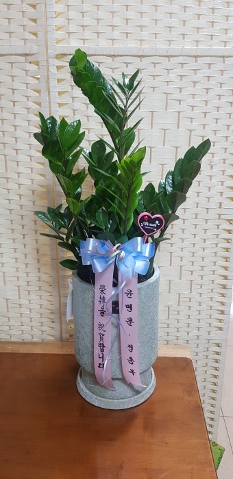 �̴� ������