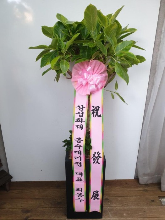 �����Ĺ�