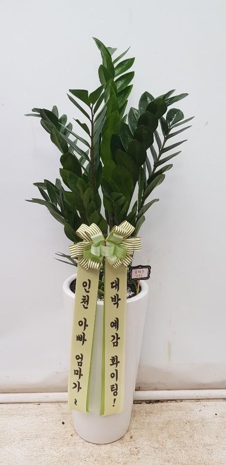 �����Ĺ�