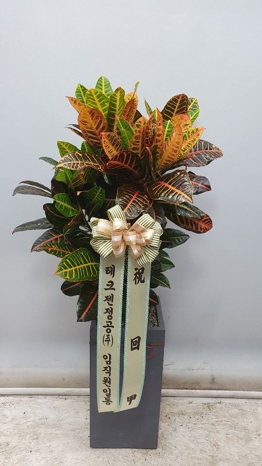 ũ���� ����