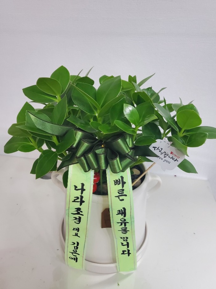 �̴� ����