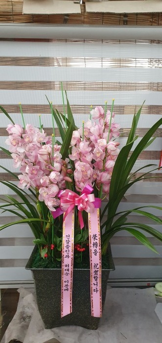 ���糭 �ź���