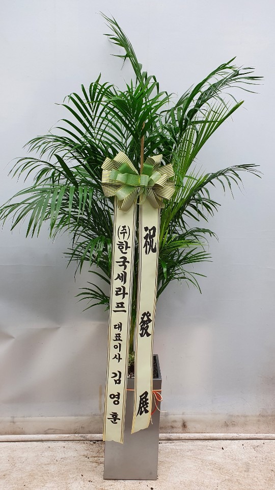 �����Ĺ� 