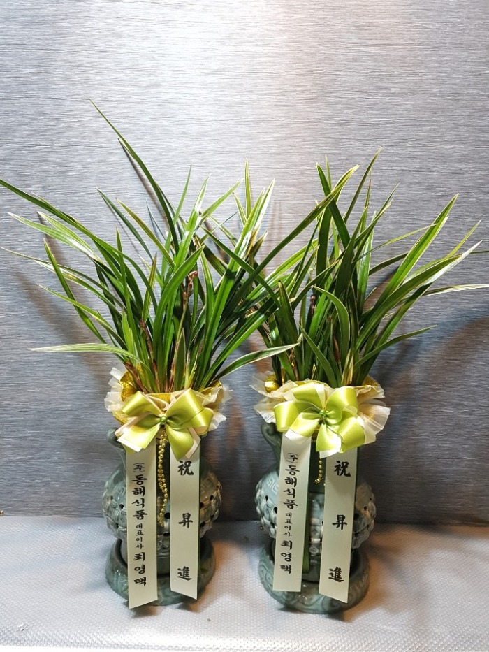 ���糭 2��