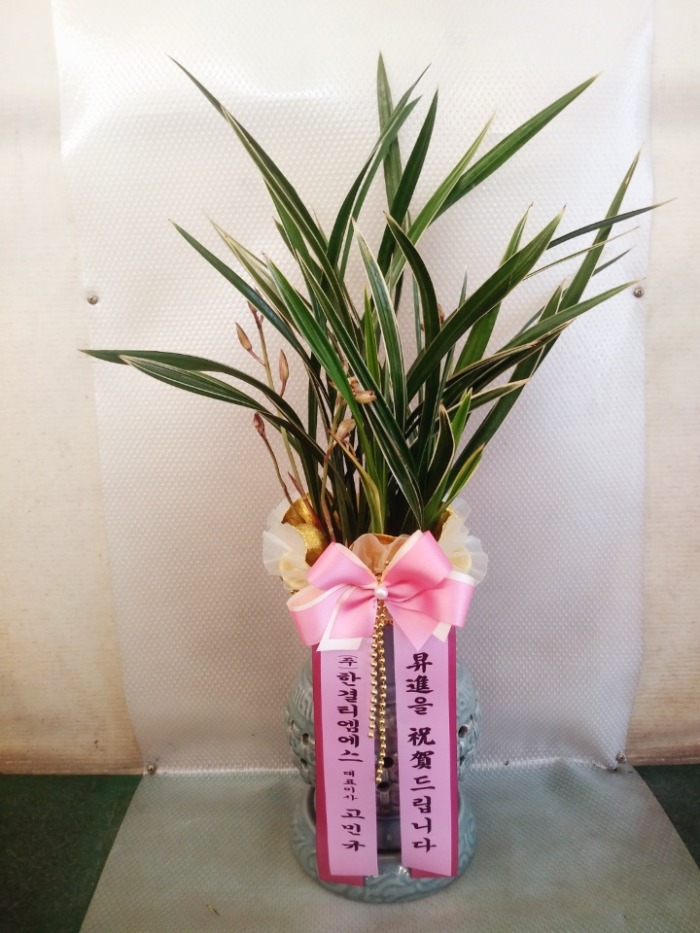 ���糭 Ȳ���