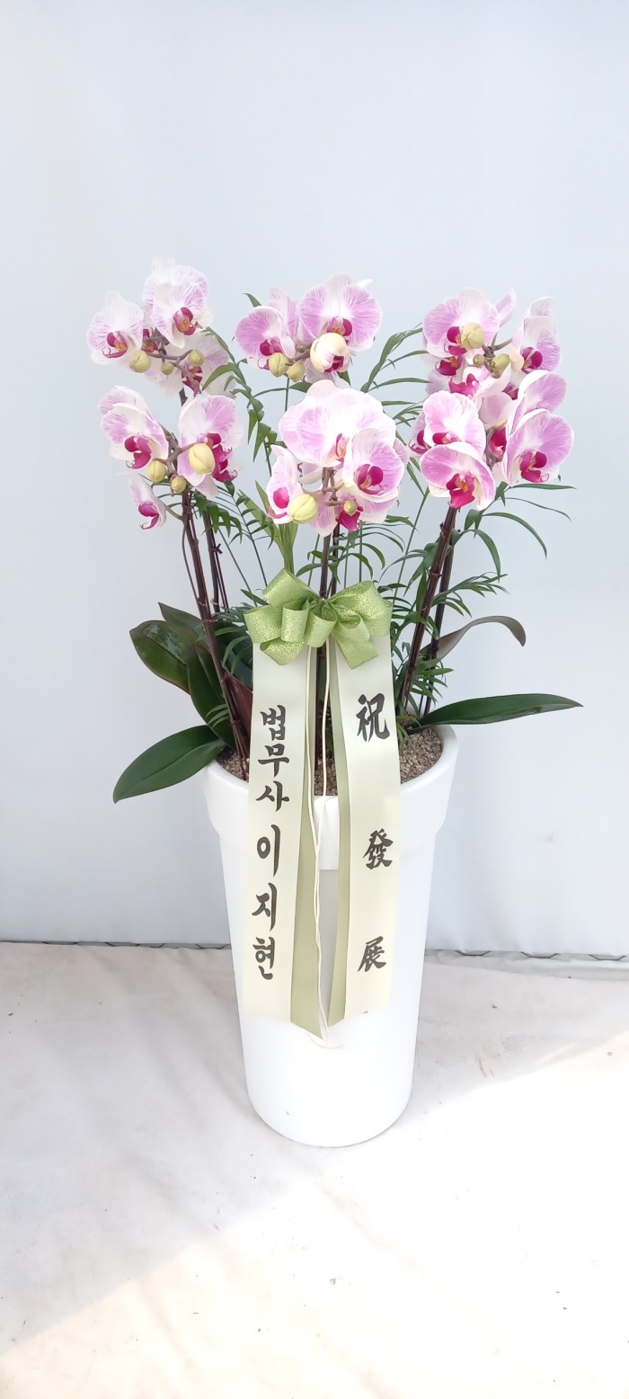 ȣ�� ���糭