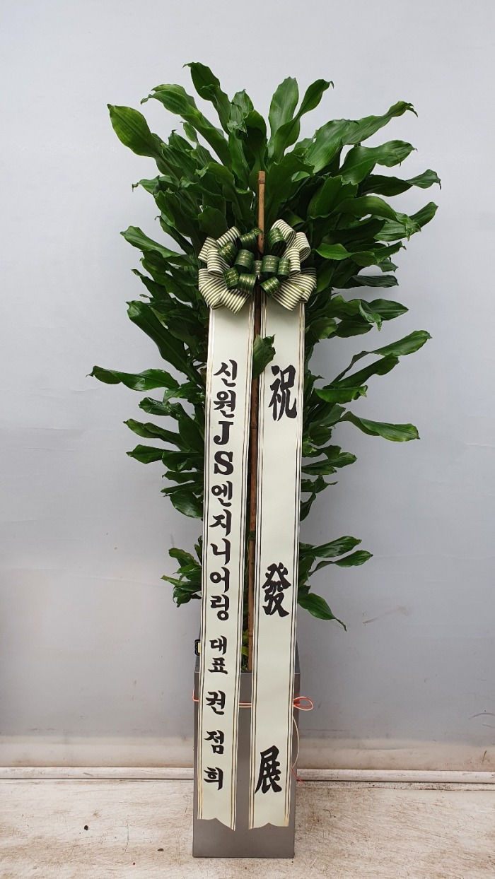 �����Ĺ�