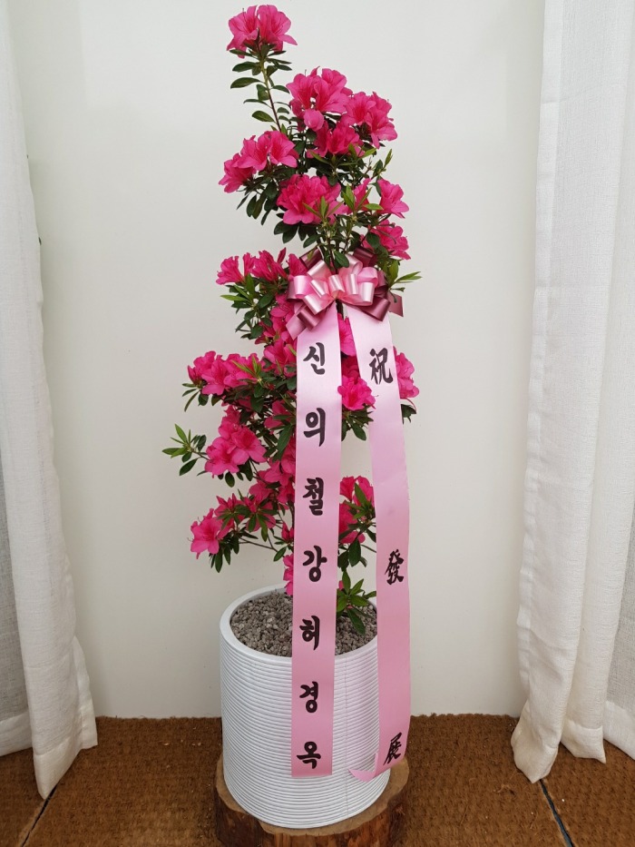 �����Ĺ�  ö��