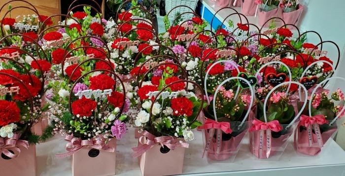 ����̳� �ɹٱ���