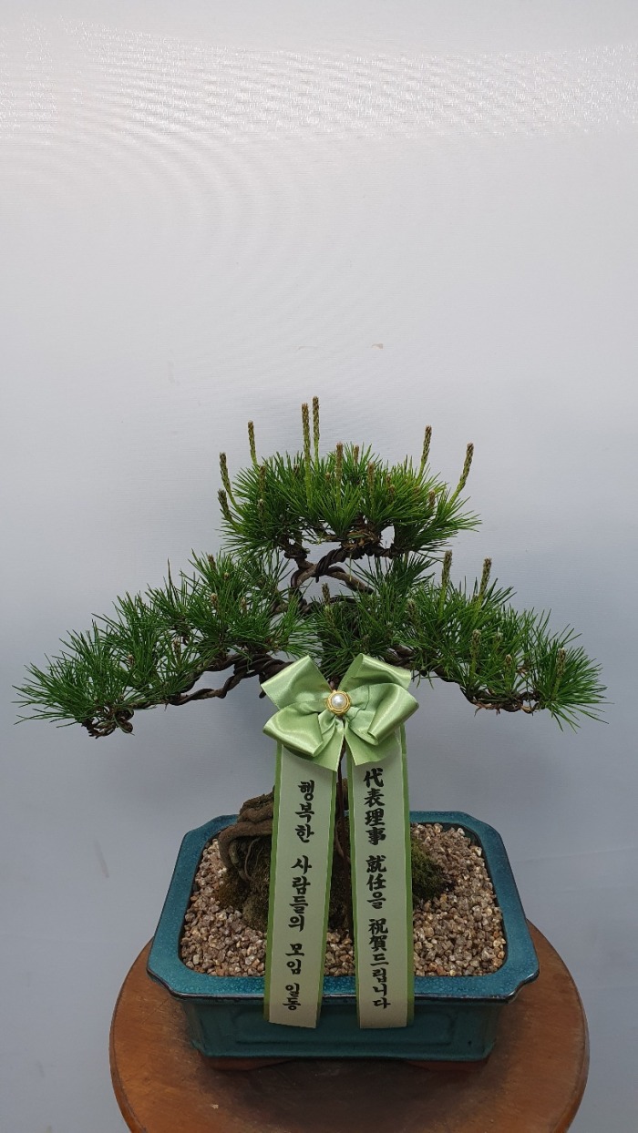 ���� ����