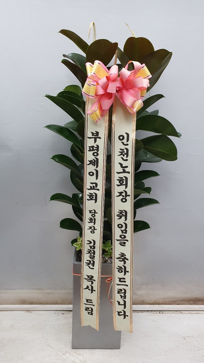 ���ϰ����Ĺ� ��������