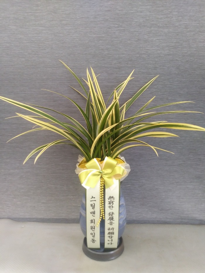 ���� ���ֵ��ڱ� �����