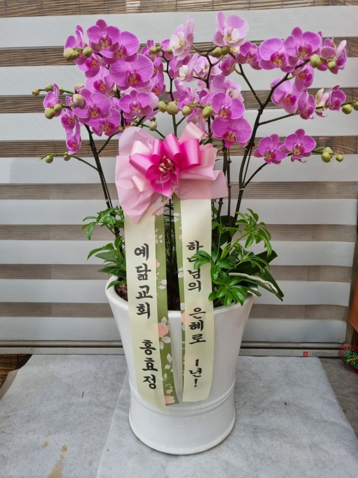 ���� ���糭