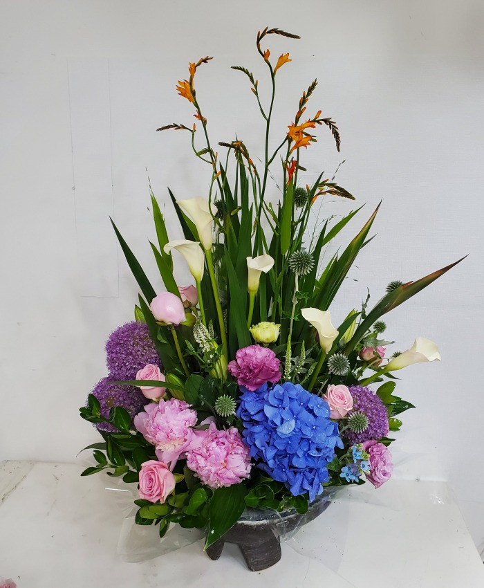 ĥ�� ���� �ɲ��� 