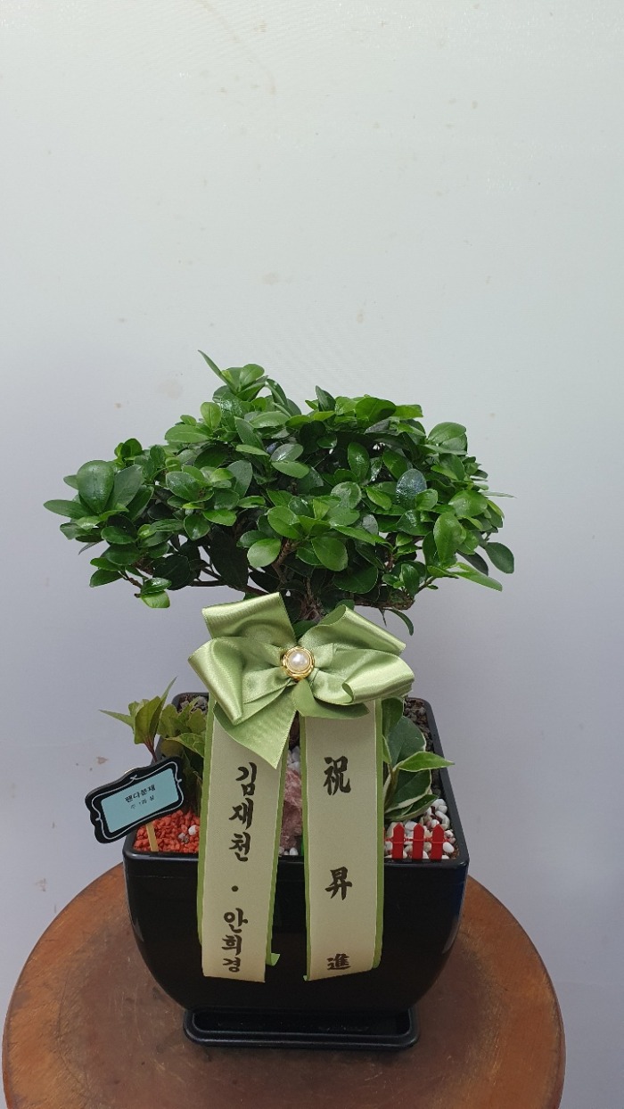 �����Ĺ� 