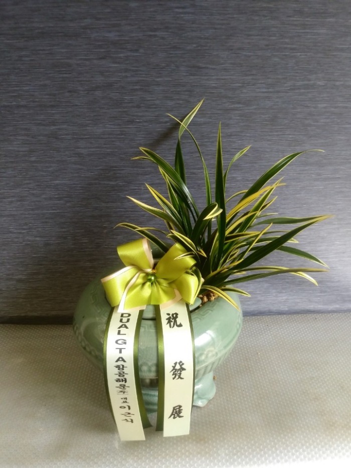 õ�� / �����