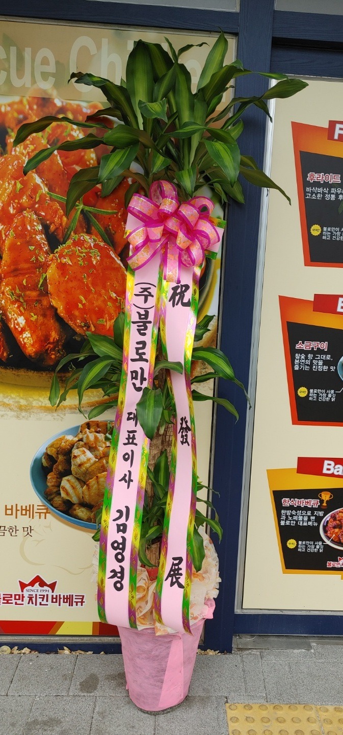 �����Ĺ� / ����