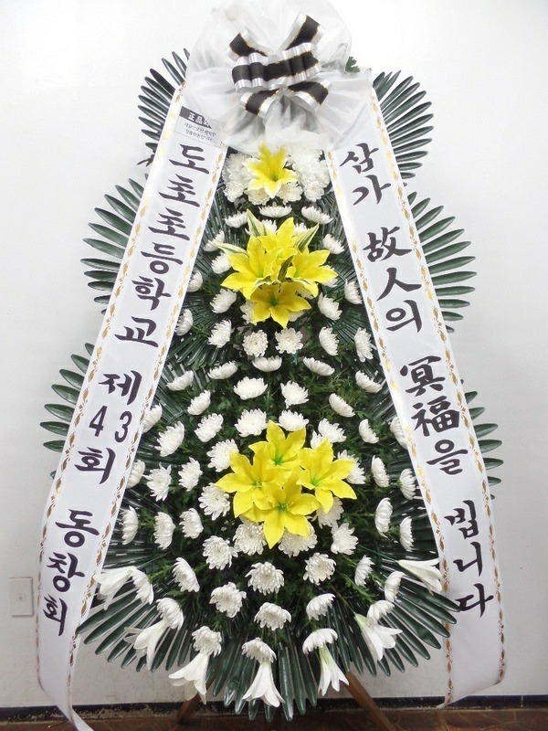 ����ȭȯ/ �ΰ�