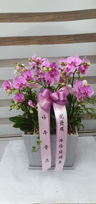 ���糭 /�̴�ȣ��