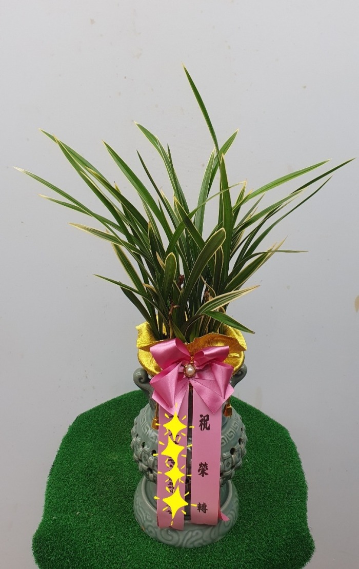 ���� ���糭 