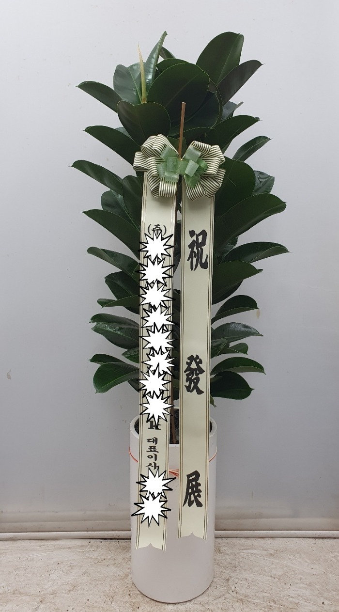 �������� ���ϰ����Ĺ�