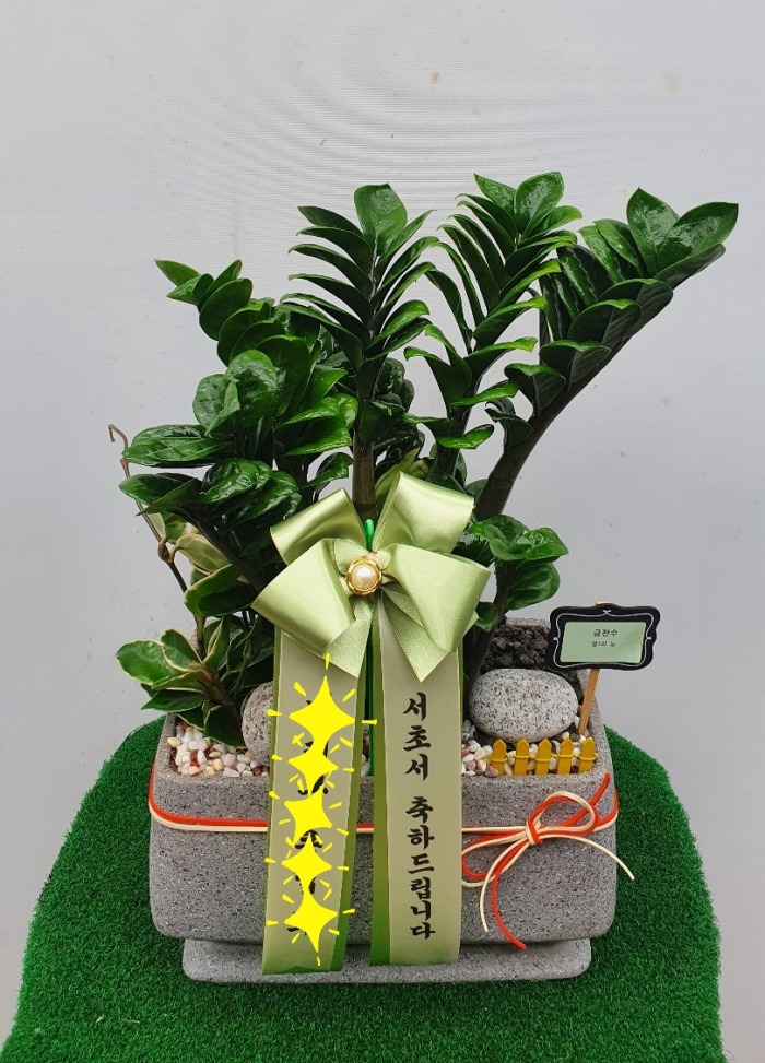 ���� ������ �����Ĺ� 