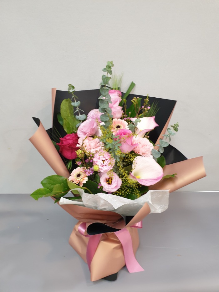 �ɴٹ� ������