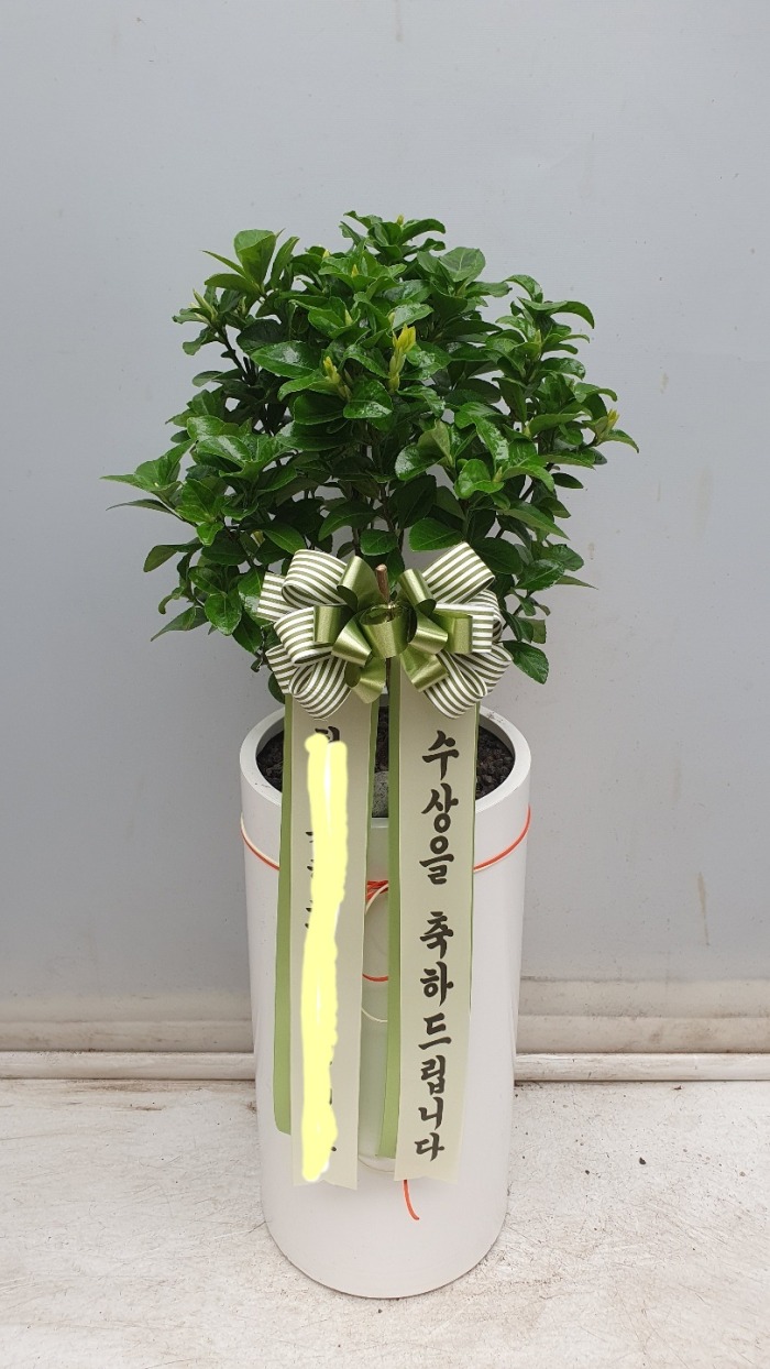 ��ö���� ���� ����