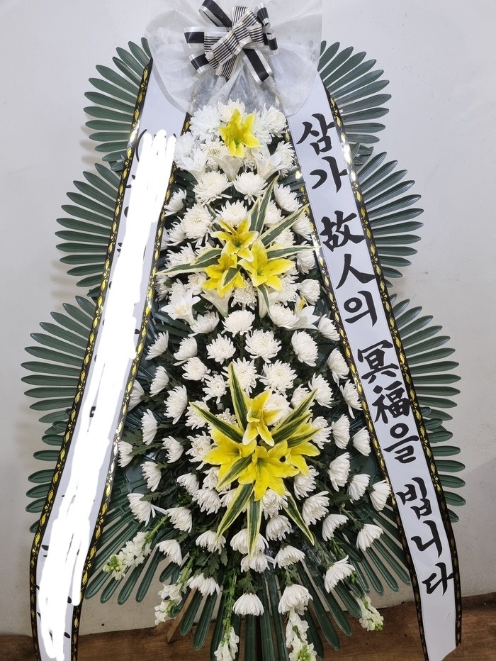 ����ȭȯ �̴�񵿺�����ʽ���