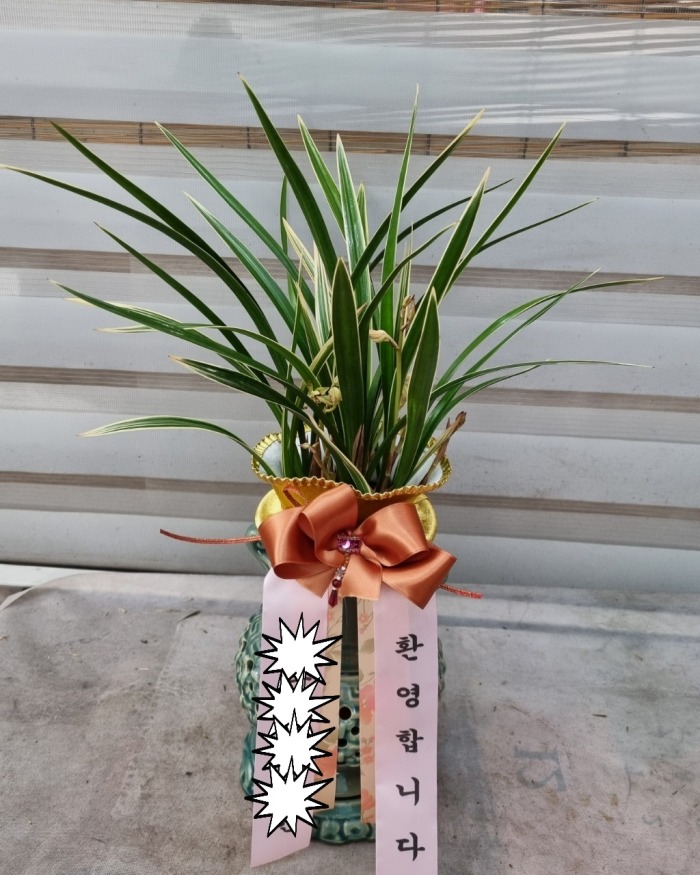 �����/������.Ȳ���