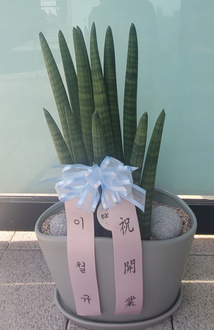 ��ƩŰ ��ۿϷ�