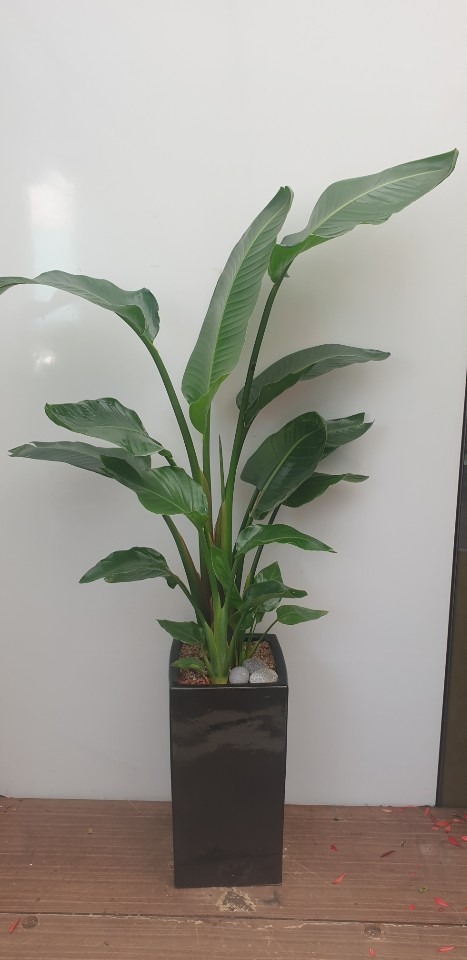 �ض��� ��õ ���� ��� 