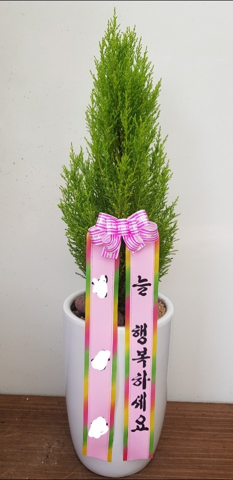 ����  / ���� ������ ���