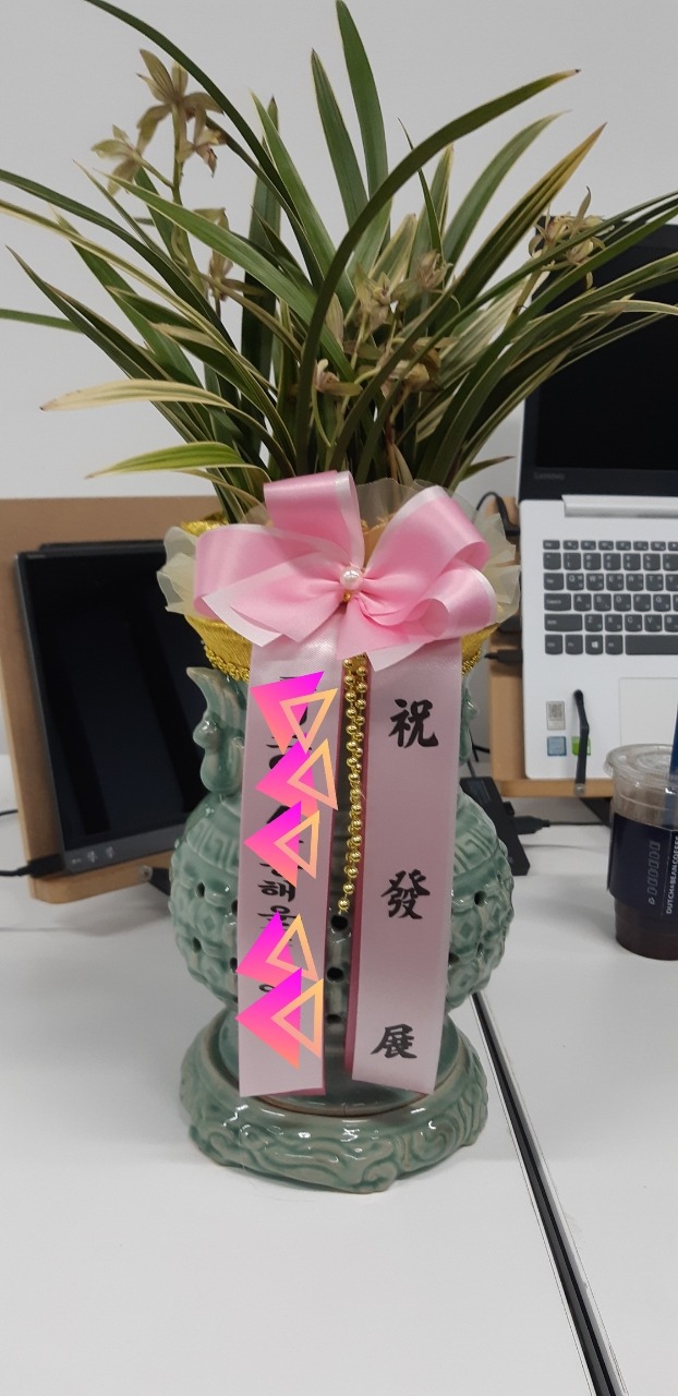 Ȳ��� ����� /���� ���� 