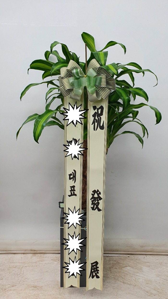 ����/ ��õ�� ���� 