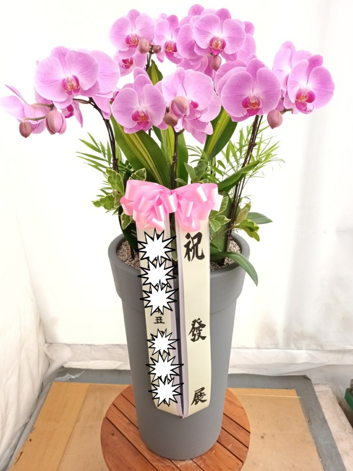 ȣ���� (�����) / ��õ�� ������ ���