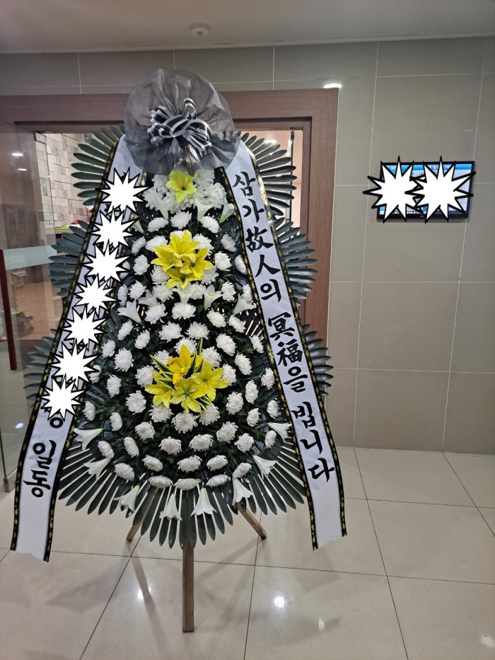 ����ȭȯ / ����õ��ʽ���